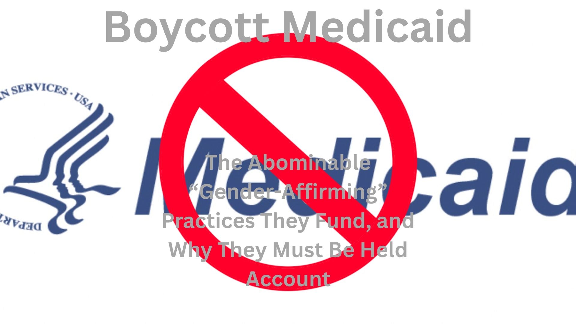 Boycott Medicaid Slide Presentation by Canva